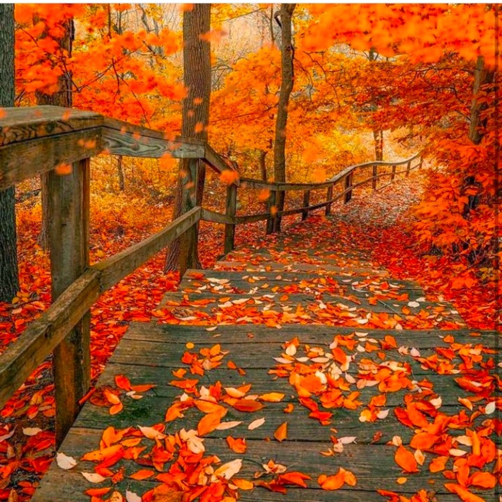 Meet your Posher, Karen